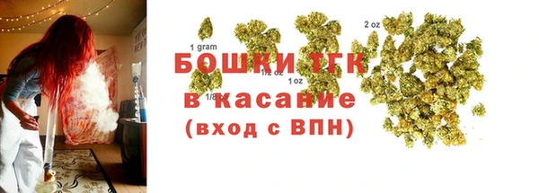 гидра Инсар