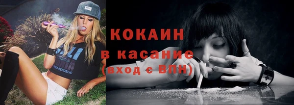 гидра Инсар