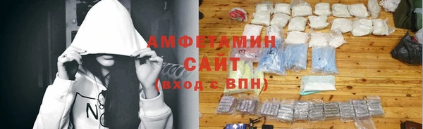 гидра Инсар