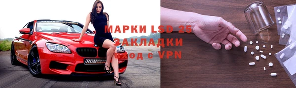 ПСИЛОЦИБИНОВЫЕ ГРИБЫ Иннополис