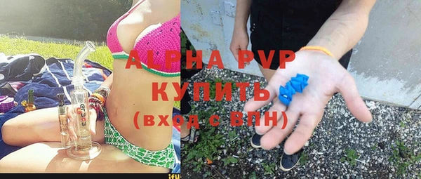 гидра Инсар