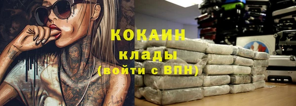 ПСИЛОЦИБИНОВЫЕ ГРИБЫ Иннополис
