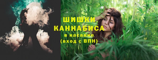 2c-b Инта